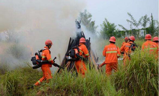 貴州森林防火演練 貴州森林防火演練