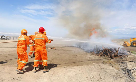 應(yīng)急指揮系統(tǒng) 政府應(yīng)急指揮系統(tǒng)